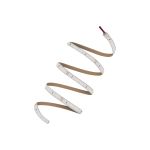 Ledvance LED-ljusslingor Value 1000 40W 3800lm 24v - 830 Varm Vit | IP66 - 5M/10mm